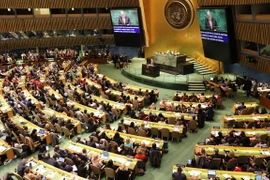 Define Vietnam en la ONU prioridades para alcanzar igualdad de género 