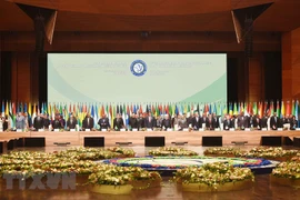 Asiste Vietnam a Cumbre de Movimiento de Países No Alineados 