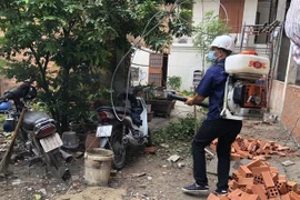 Aumentaron en Ciudad Ho Chi Minh casos de dengue en siete meses de 2019