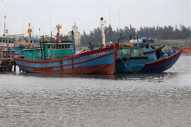 Pescadores de Vietnam se unen contra la "tarjeta amarilla" de Unión Europea 