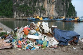 Sector turístico de Vietnam lucha contra residuos plásticos