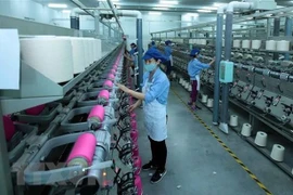 Especialista internacional pronostica futuro alentador para economía de Vietnam