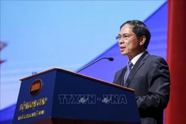 Valoran Vietnam y Chile medidas para potenciar la cooperación económica