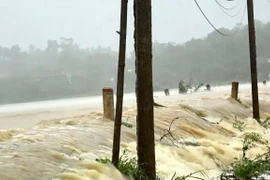 Al menos tres muertos por el tifón Podul en Vietnam