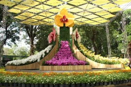 Coloridas orquídeas embellecen la ciudad vietnamita de Nha Trang