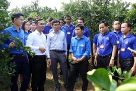 Intensifican Vietnam y Laos los intercambios juveniles