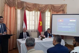 Promueven Vietnam y Egipto cooperación en turismo 