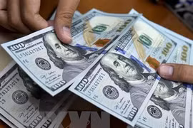 Se mantiene Vietnam entre los mayores destinos de remesas 