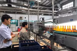 Incrementa cooperación entre Japón y provincias del Altiplano central vietnamita