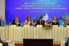  Vietnam se une a los esfuerzos mundiales para proteger a las tortugas marinas