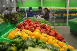 Destacan potencialidades del desarrollo del sector hortícola de Vietnam 
