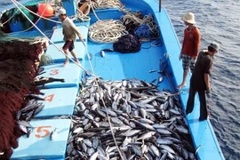 Condiciona Comisión Europea levantamiento de tarjeta amarilla para Vietnam