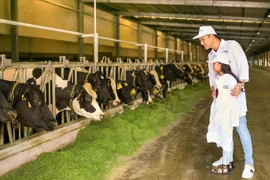 Grupo lácteo vietnamita Vinamilk planea entender sus actividades productivas en Ha Tinh
