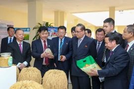  Cumple delegación partidista de Corea del Norte intensa agenda durante visita a Vietnam
