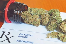 Incautan en Vietnam 5,8 kilogramos de marihuana transportada desde Camboya 