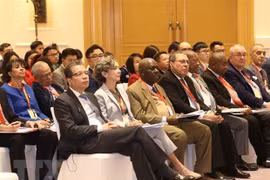 Mejora cooperación económica entre Vietnam y las naciones africanas