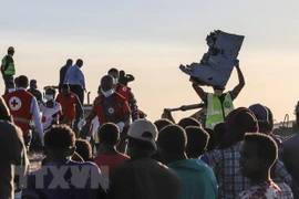 Expresa Vietnam su solidaridad con Etiopía tras trágico accidente aéreo