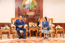 Viceprimer ministro de Vietnam realiza visita a Laos