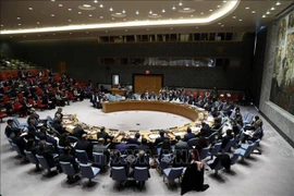 Apoya embajador indonesio elección de Vietnam como miembro del Consejo de Seguridad de la ONU