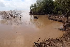 Celebrará Vietnam Foro sobre Desarrollo Sostenible del Delta del Mekong 