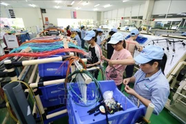 Provincia vietnamita de Vinh Phuc logra resultados económicos alentadores 