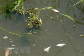 Discuten en Hanoi sobre tratamiento descentralizado de aguas residuales en Asia