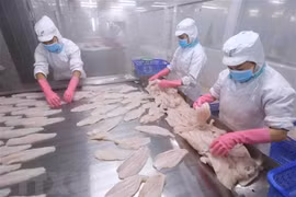 Pescado Tra de Vietnam conquista el mercado de Japón