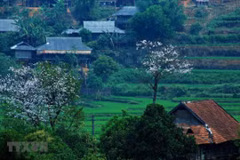Provincia norvietnamita proyecta recibir más de cinco millones de turistas en etapa 2021-2025