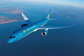  Aerolíneas vietnamitas ofrecen boletos preferenciales para estimular la demanda nacional