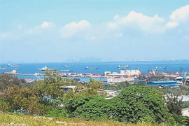 Indonesia emite decreto sobre zonas económicas especiales
