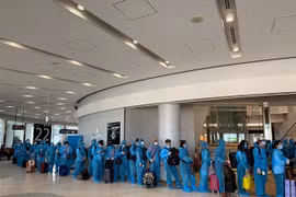 Repatrían a ciudadanos vietnamitas varados en Japón