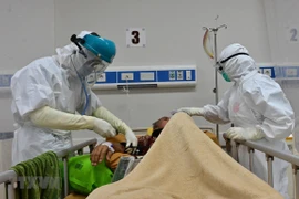 COVID-19: Indonesia reporta tres mil 444 nuevos casos y 85 fallecidos