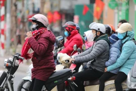 Llaman a instancias partidistas de Vietnam a incorporarse a lucha contra neumonía aguda por nCoV