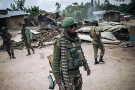 Vietnam dispuesto a respaldar a los países de África que salen de conflictos