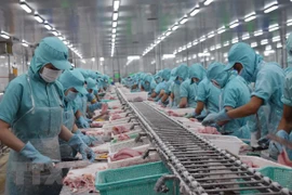 Impulsan en Vietnam divulgación en la comunidad empresarial sobre tratado comercial con la Unión Europea