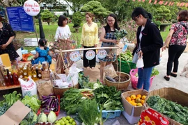 Recrean ambiente del Tet tradicional de Vietnam