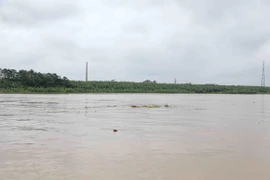 Vietnam aplica imágenes satelitales en recopilación de informaciones sobre partículas en suspensión