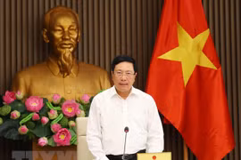 Exigen adoptar soluciones para agilizar atracción de inversión extranjera en Vietnam