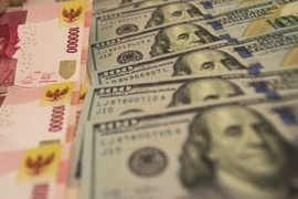 Pronostica Indonesia significativo aumento del déficit presupuestario este año