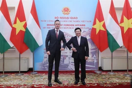 Vietnam y Hungría cooperan en el sector financiero