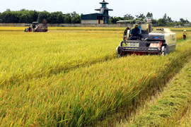 Simposio en ciudad vietnamita busca aumentar ingresos de agricultores