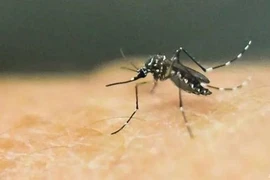 Detectan en Vietnam nuevo caso infectado del Zika