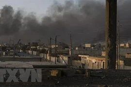 Pide Vietnam mayor apoyo a investigación sobre crímenes del Estado Islámico en Iraq