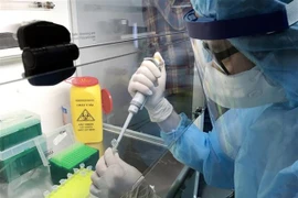 Vietnam no registra casos nuevos de coronavirus 