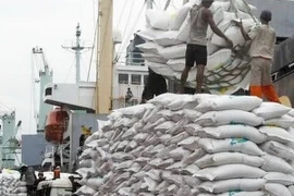 Myanmar proyecta exportar 2,5 millones de toneladas de arroz en el año fiscal 2019-2020