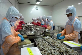 Pronostican recuperación del sector camaronero de Vietnam en segunda mitad del año