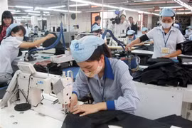 Sistema de alerta temprana, herramienta útil de las empresas vietnamitas