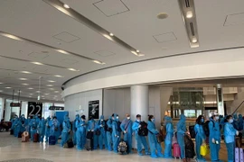 Ciudadanos vietnamitas regresan con seguridad de Japón
