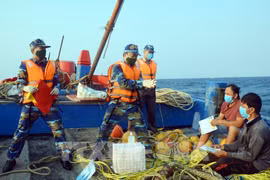 Concluyen Vietnam y China inspección conjunta sobre pesca en Golfo de Tonkín