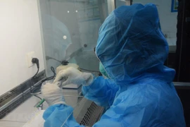 Vietnam sin nuevo caso de COVID-19 en las últimas 36 horas 